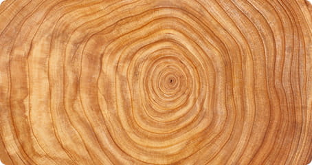 Suzhou Dicosbo Wood Co,. Ltd.